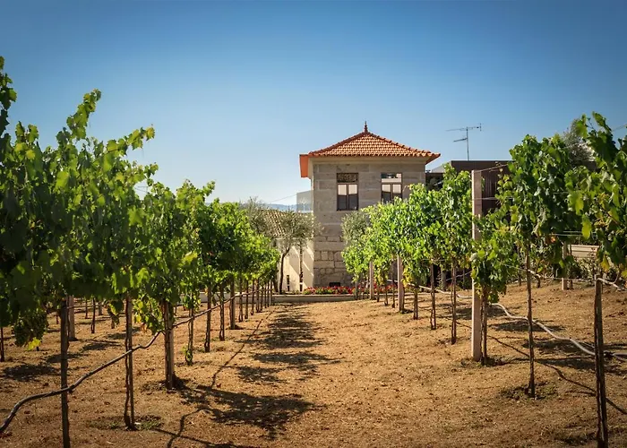 Quinta Do Aido - Winetourism Vakantiehuis Cinfães